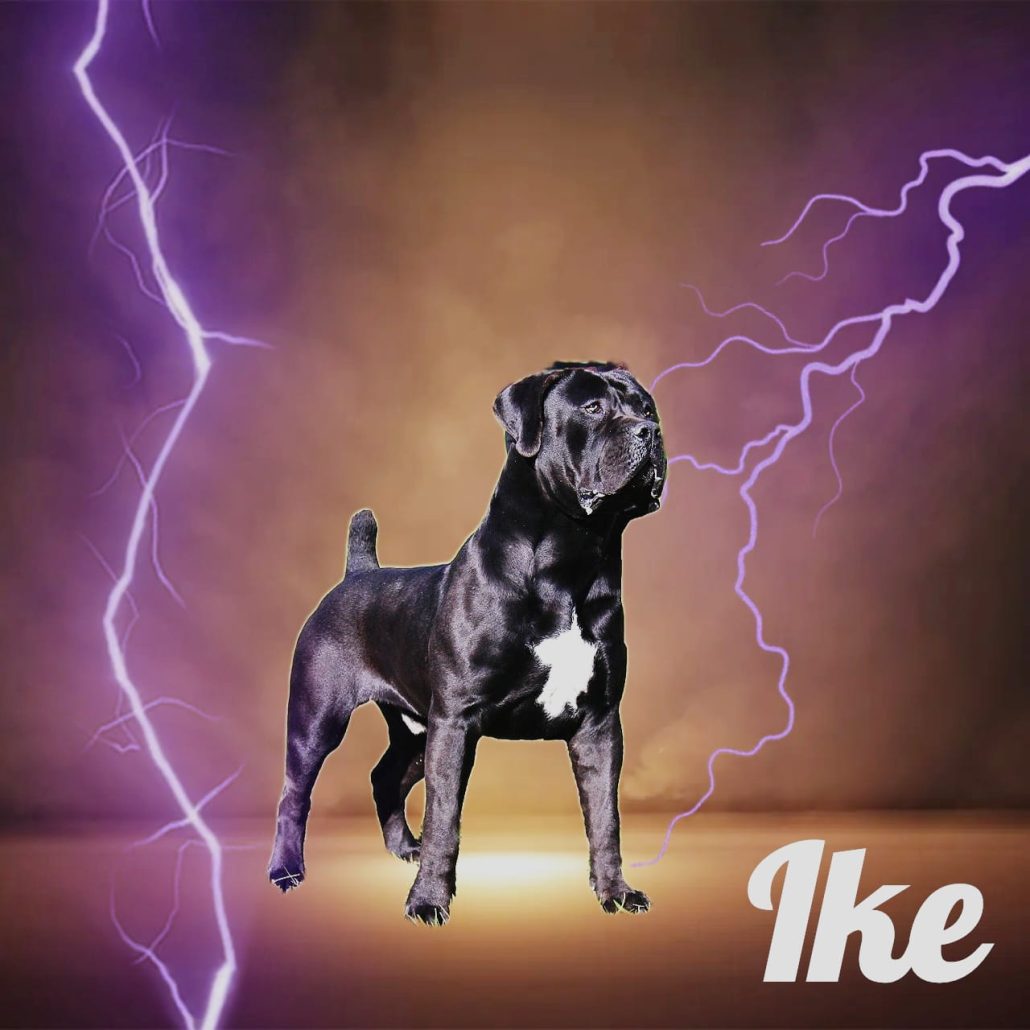 Ike